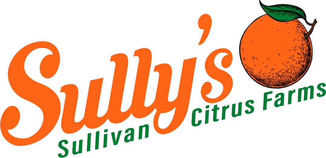 Sully's Citrus: Georgia Orange Grove